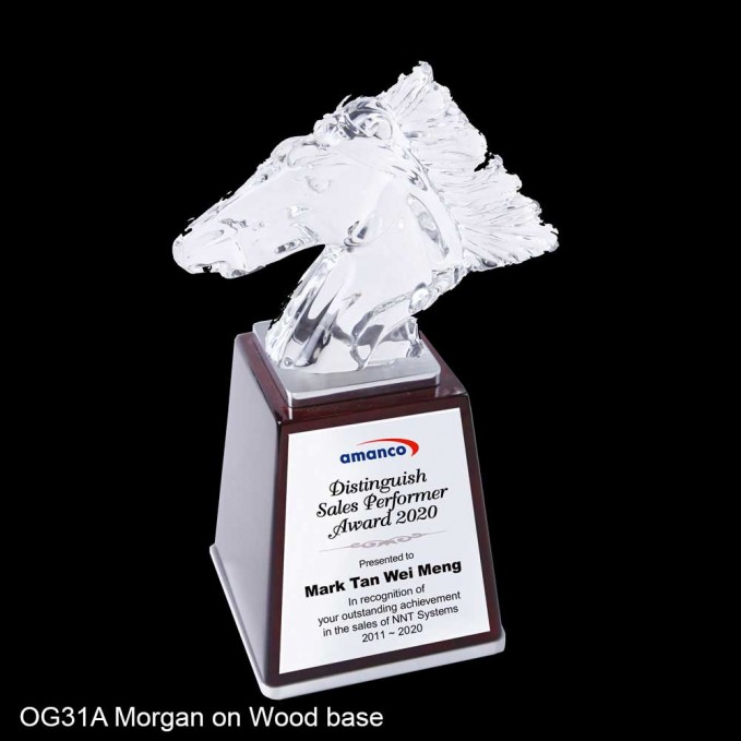 Optical Glass Trophies